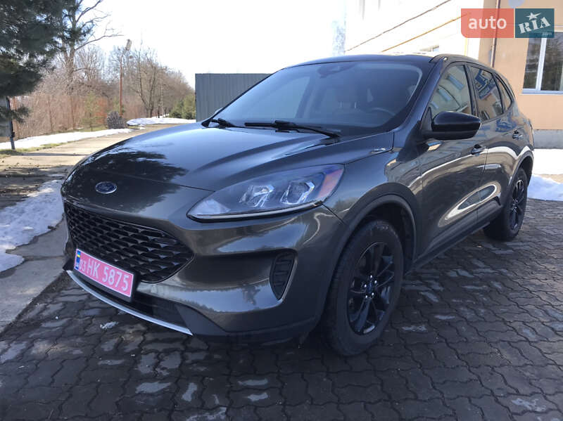 Внедорожник / Кроссовер Ford Escape 2020 в Сокале