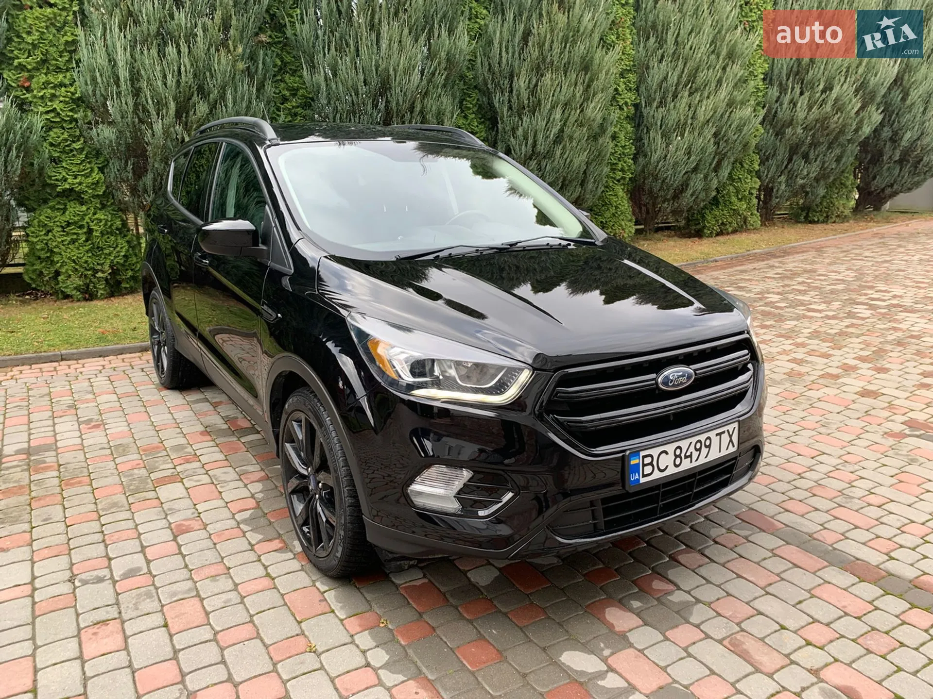 2019 Ford Escape - мініатюра 2