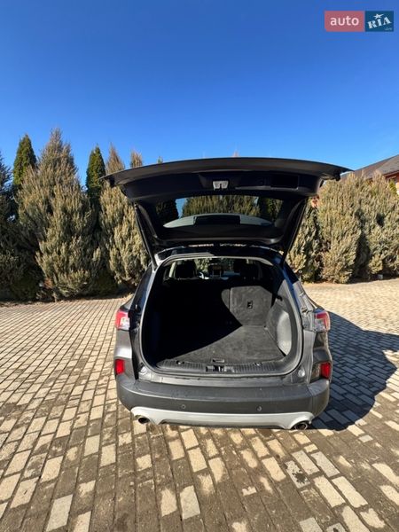 Внедорожник / Кроссовер Ford Escape 2021 в Самборе