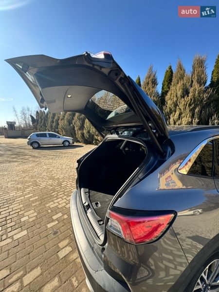 Внедорожник / Кроссовер Ford Escape 2021 в Самборе