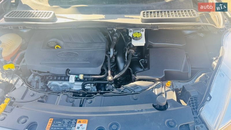 Внедорожник / Кроссовер Ford Escape 2018 в Киеве