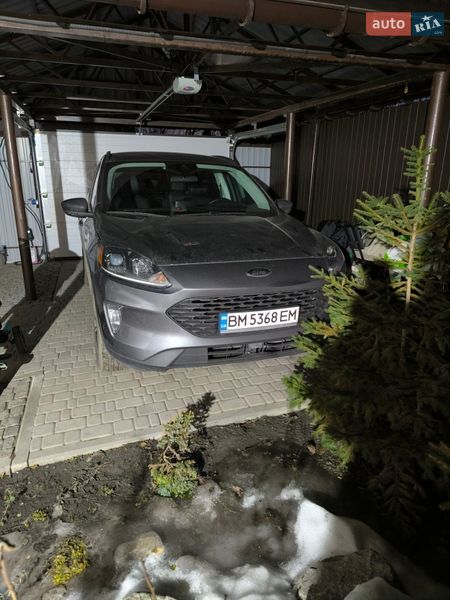 Внедорожник / Кроссовер Ford Escape 2021 в Сумах фото Внедорожник / Кроссовер Ford Escape 2021 в Сумах