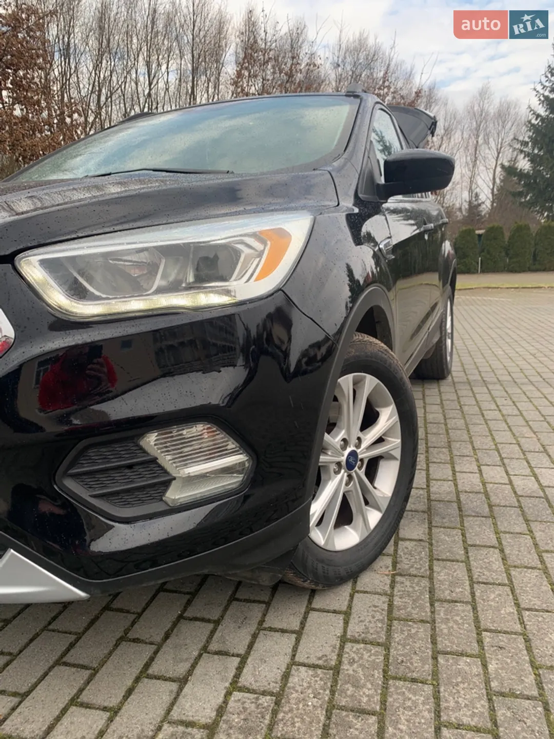 2016 Ford Escape - мініатюра 2