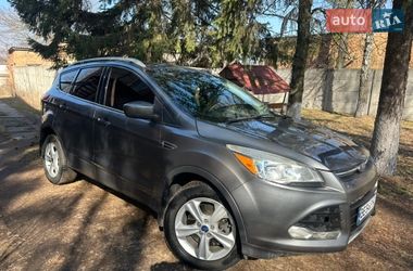 Внедорожник / Кроссовер Ford Escape 2014 в Звенигородке