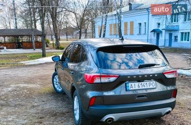 Внедорожник / Кроссовер Ford Escape 2020 в Глухове