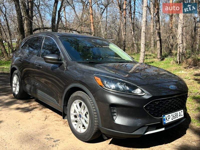 Позашляховик / Кросовер Ford Escape 2020 в Запоріжжі