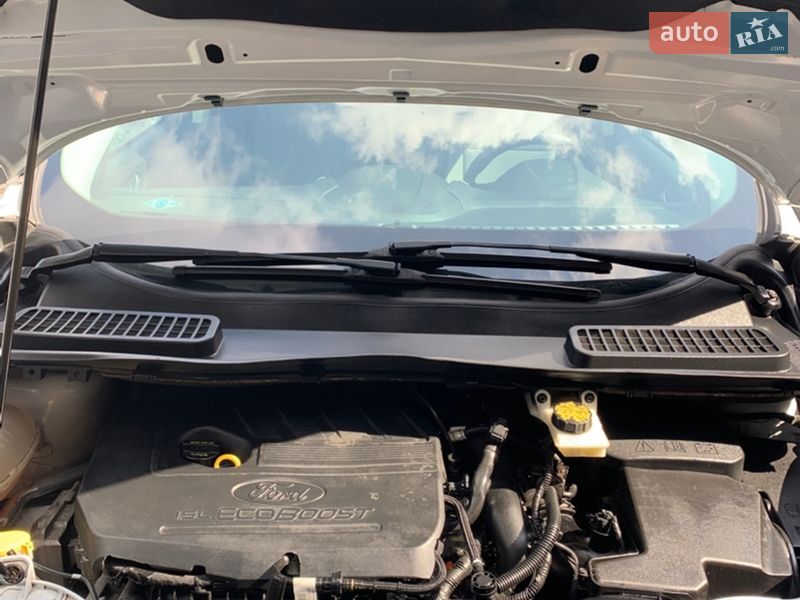 Позашляховик / Кросовер Ford Escape 2017 в Дубні фото 30 Позашляховик / Кросовер Ford Escape 2017 в Дубні
