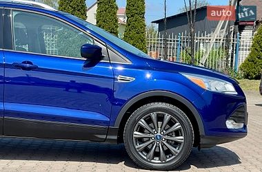 Позашляховик / Кросовер Ford Escape 2015 в Житомирі