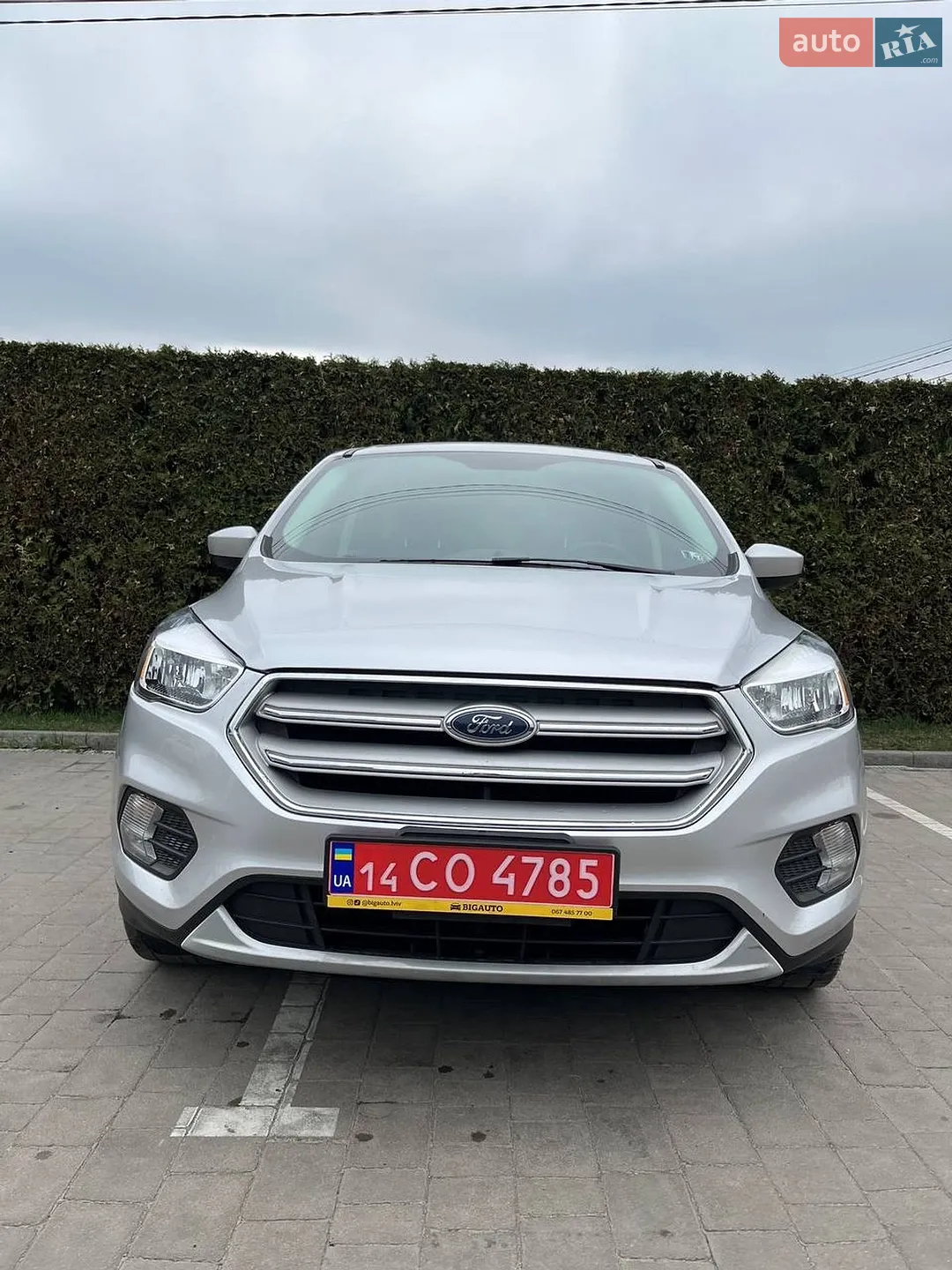 2019 Ford Escape - мініатюра 2