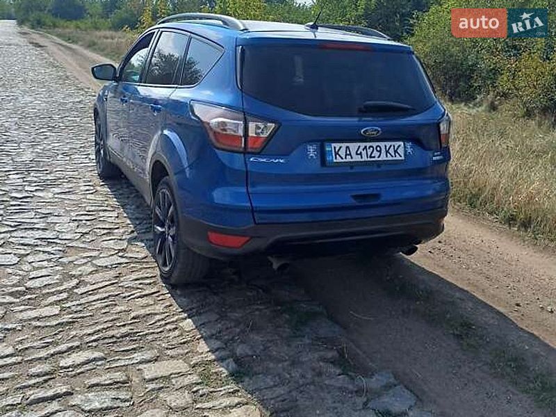 Внедорожник / Кроссовер Ford Escape 2017 в Луцке фото 6 Внедорожник / Кроссовер Ford Escape 2017 в Луцке