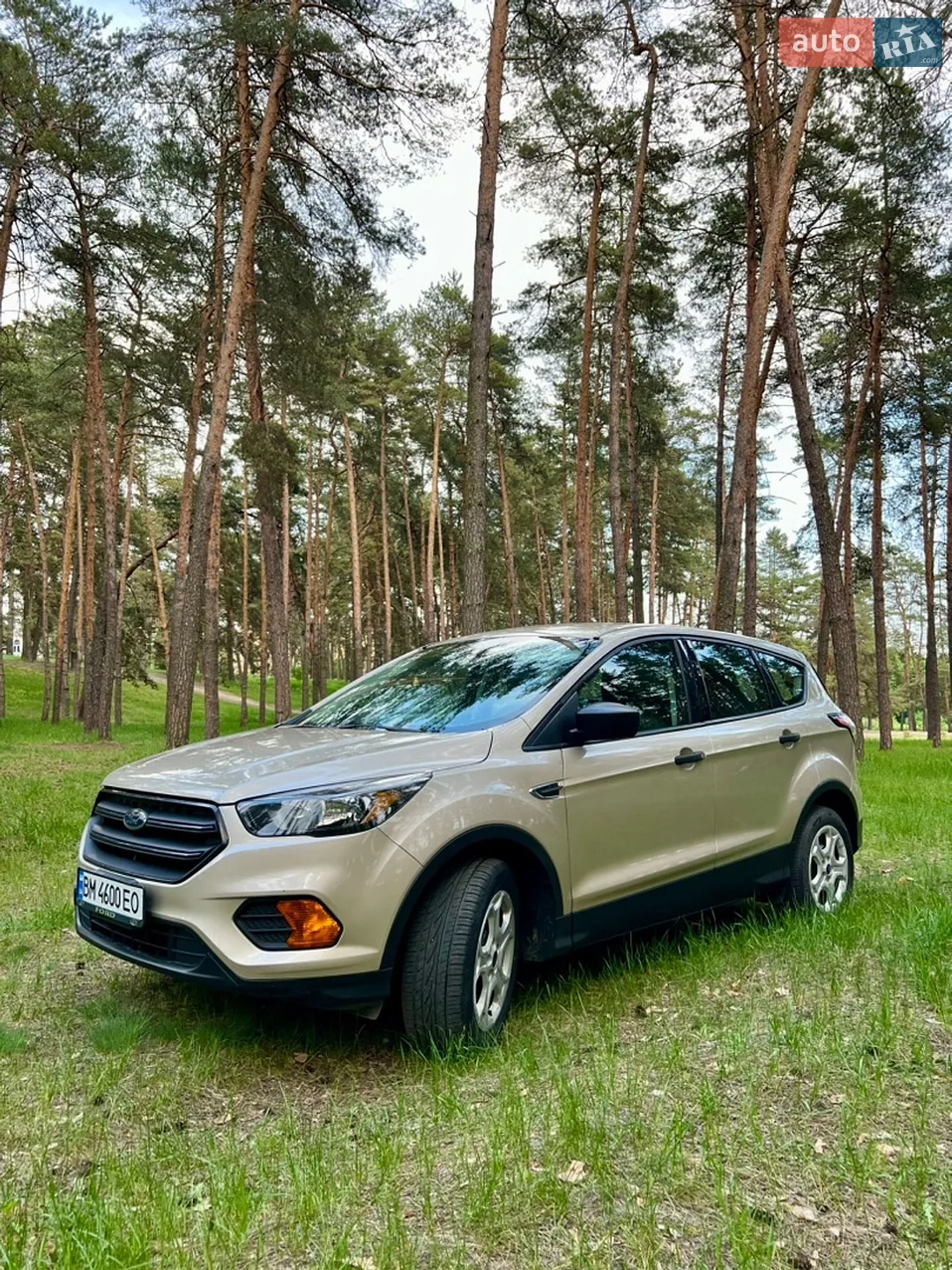 2017 Ford Escape - мініатюра 3