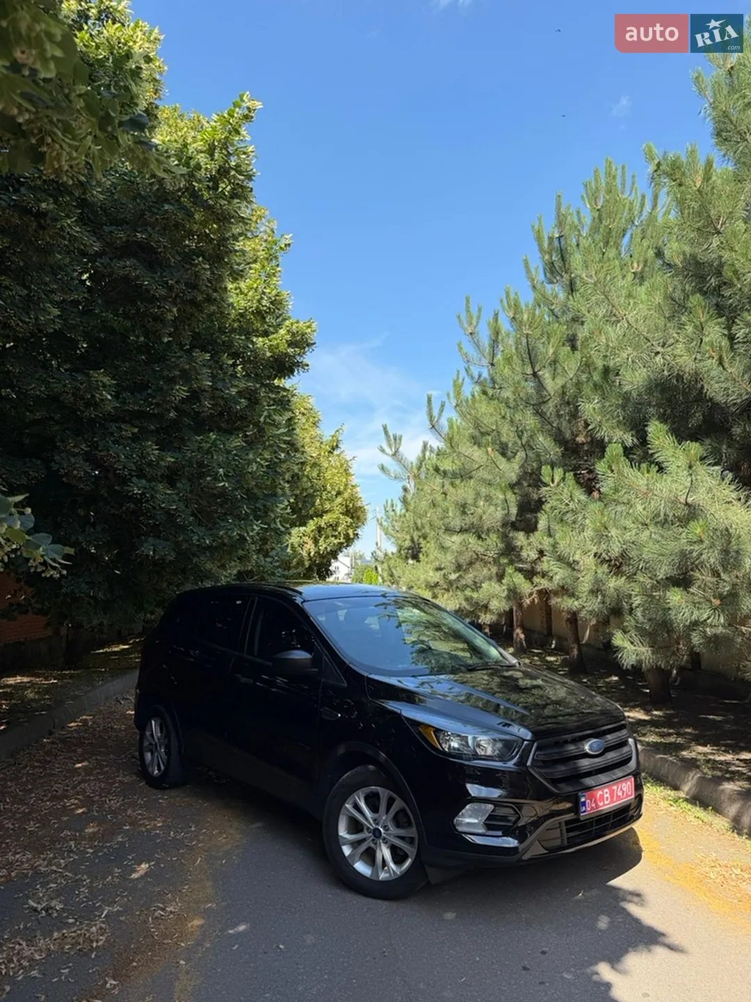 2019 Ford Escape - мініатюра 2