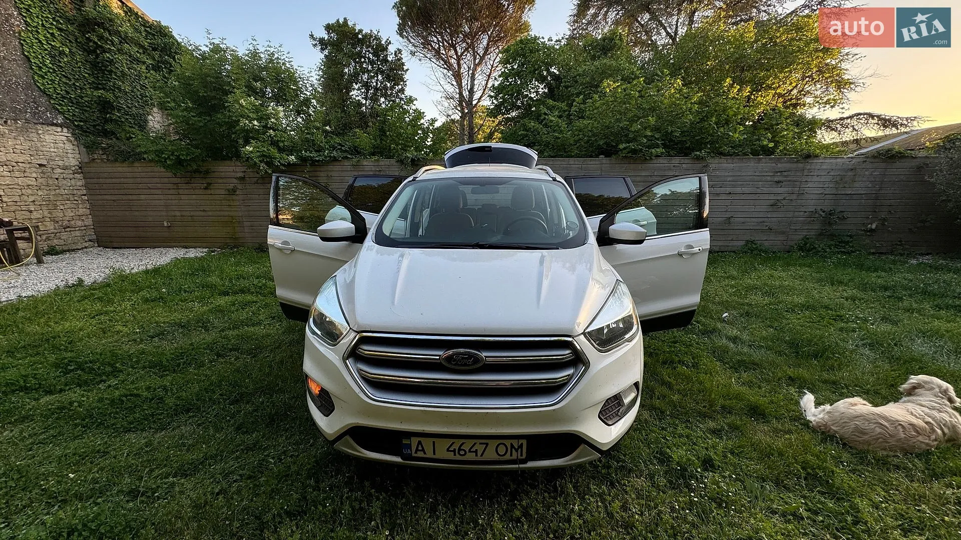 2017 Ford Escape - мініатюра 3