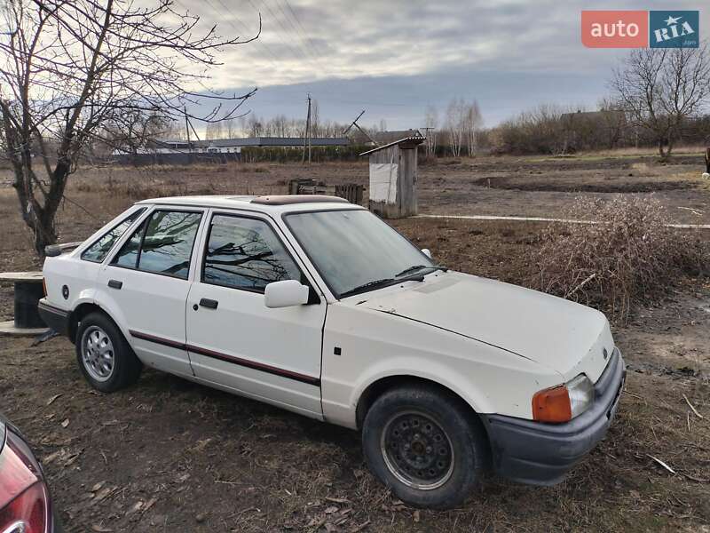 Хэтчбек Ford Escort 1989 в Черняхове
