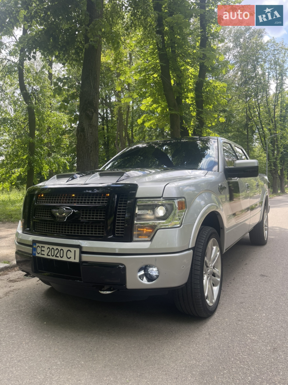 2013 Ford F-150 - мініатюра 55