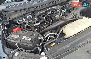 Пикап Ford F-150 2024 в 
