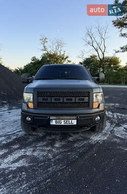 Пикап Ford F-150 2012 в 