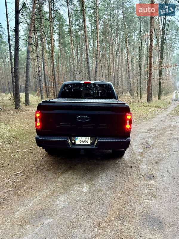 Пикап Ford F-150 2021 в Березане фото 11 Пикап Ford F-150 2021 в Березане