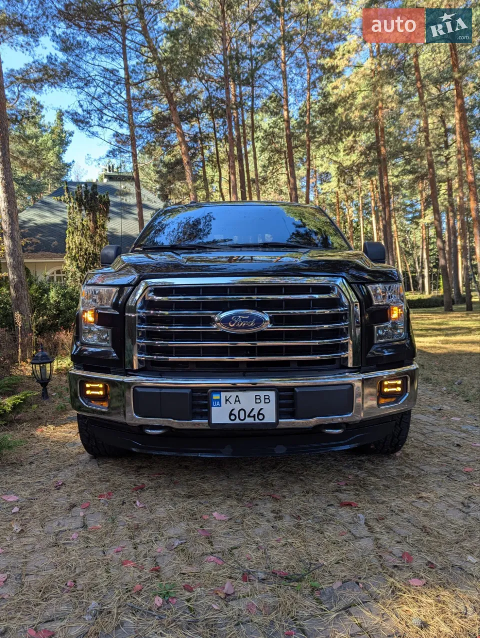 2016 Ford F-150 - мініатюра 26