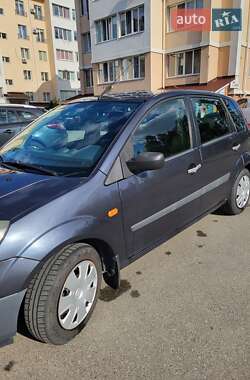 Хэтчбек Ford Fiesta 2008 в 