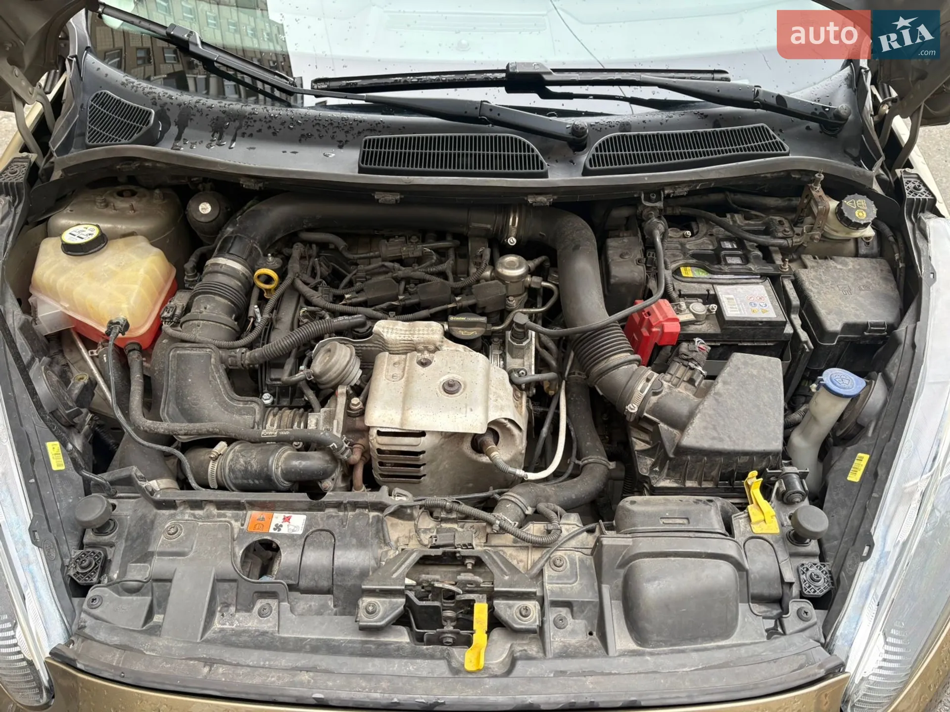 2013 Ford Fiesta - мініатюра 22