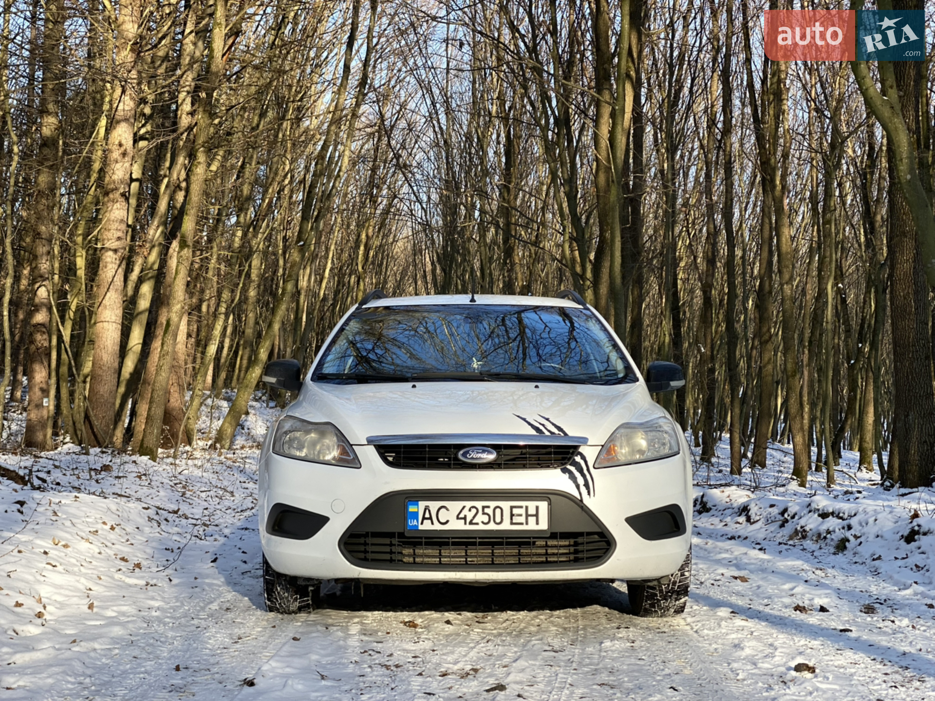 2010 Ford C-MAX - мініатюра 2