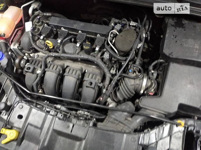 Хэтчбек Ford Focus 2016 в Шепетовке