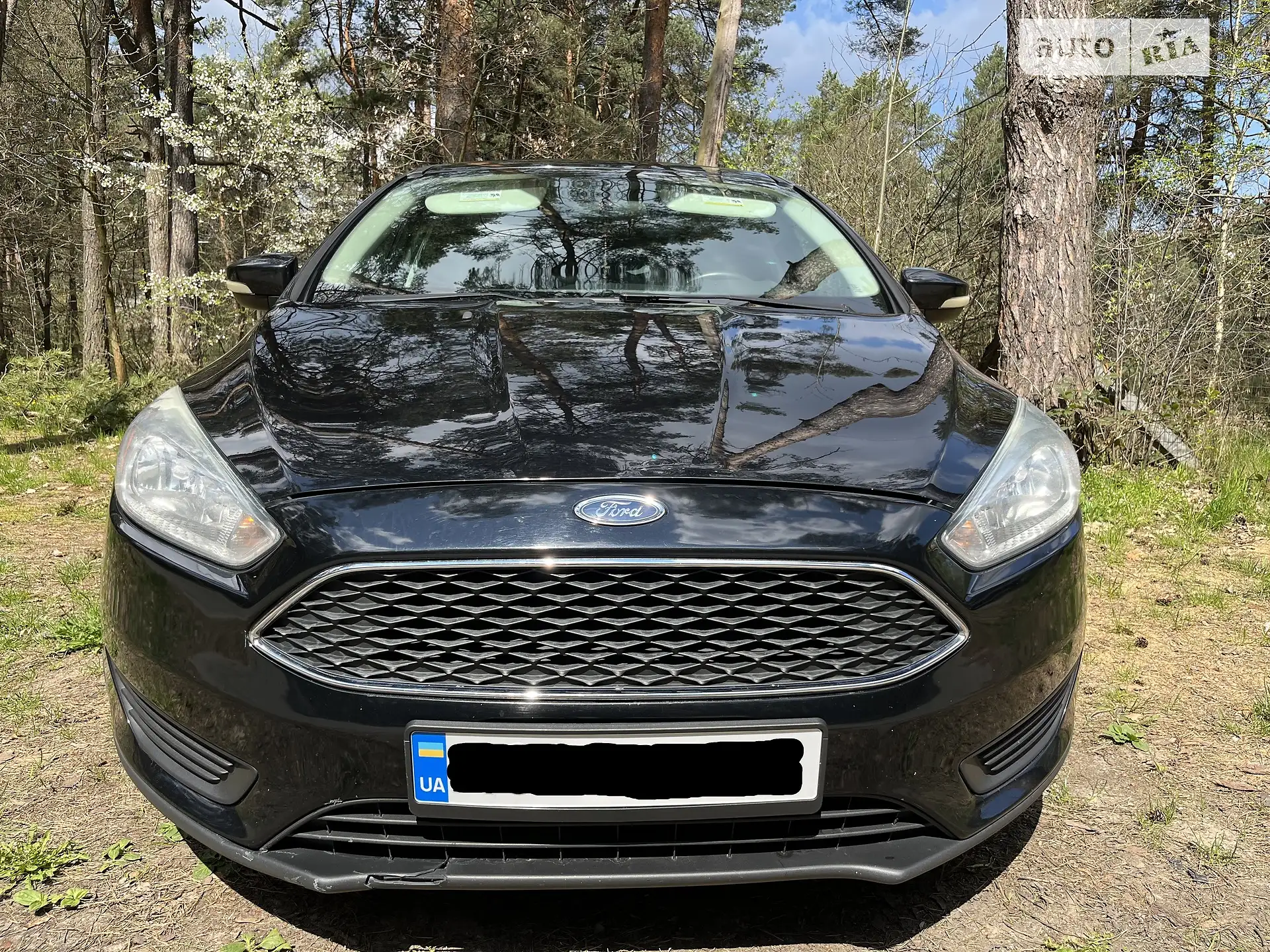 2015 Ford Focus - мініатюра 11