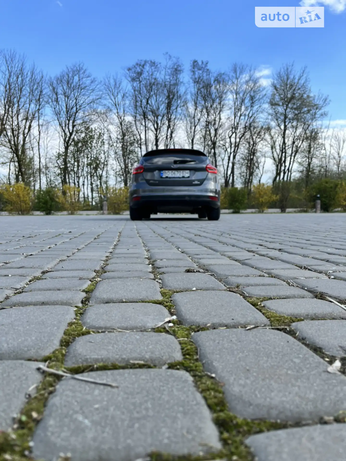 2016 Ford Focus - мініатюра 13