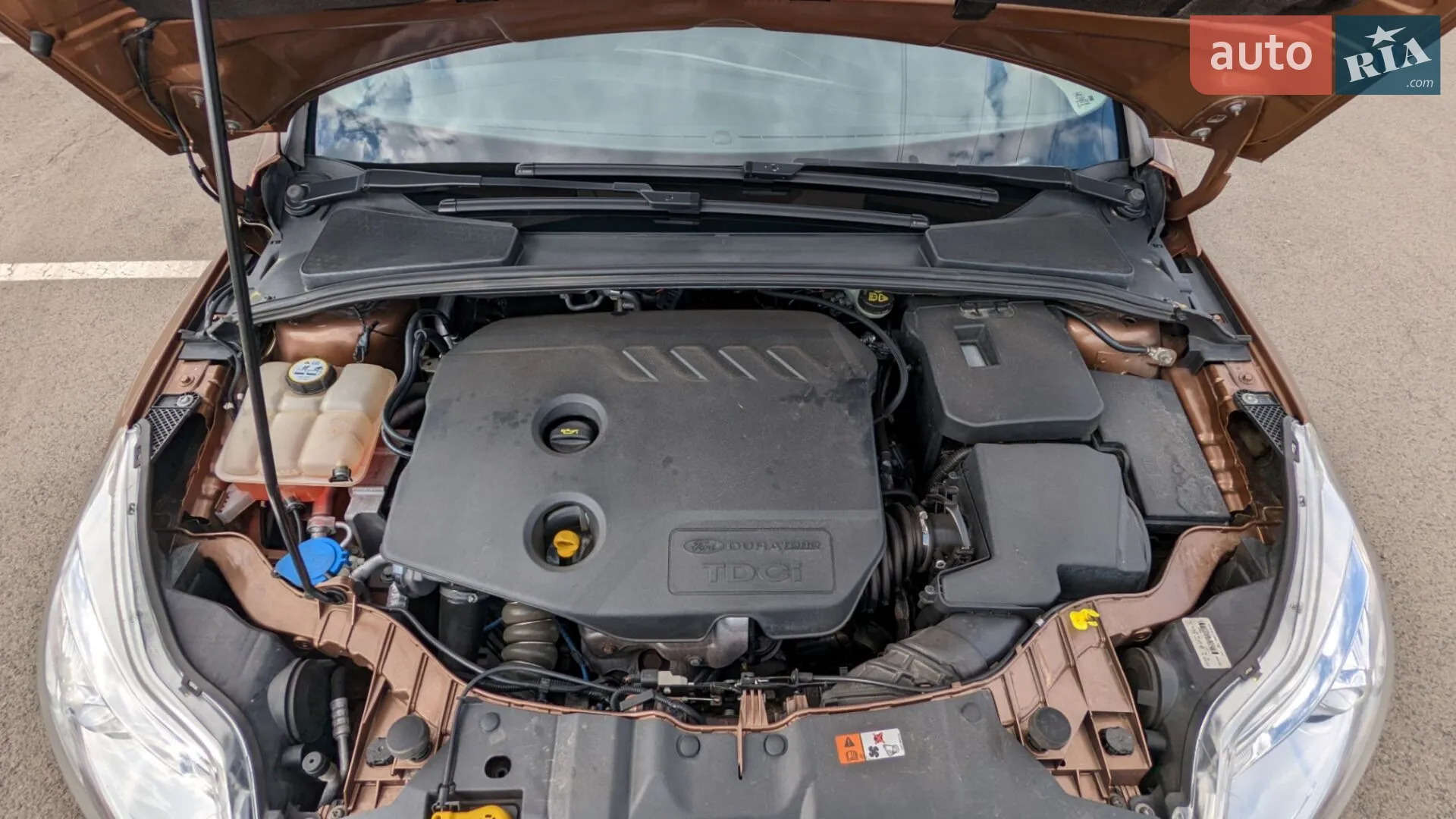 2013 Ford Focus - мініатюра 43