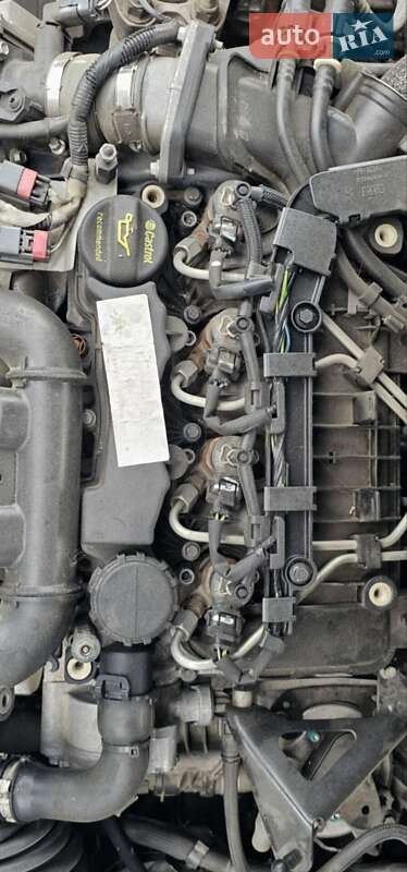 Універсал Ford Focus 2010 в Брусилові