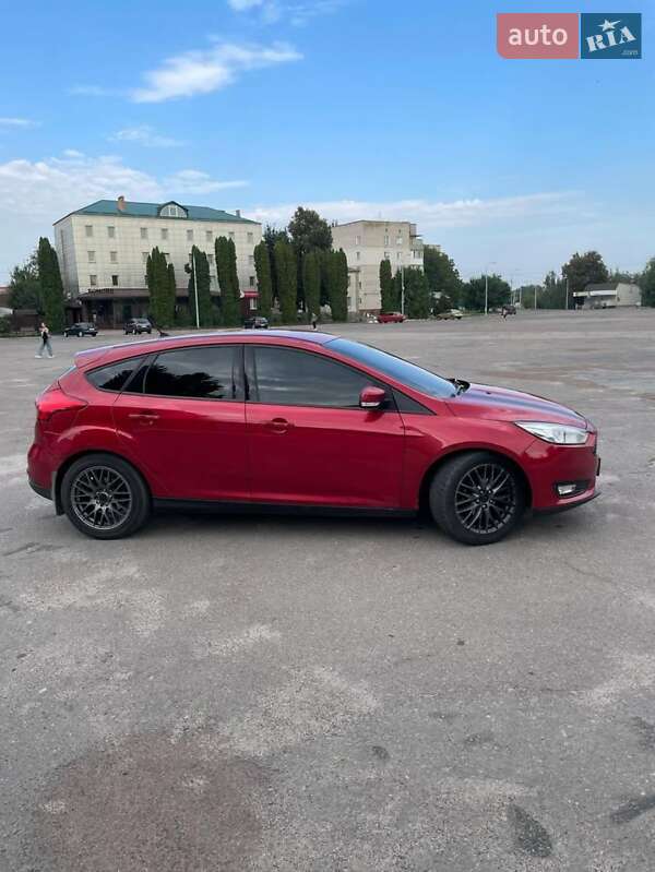 Хэтчбек Ford Focus 2015 в Андрушевке фото 16 Хэтчбек Ford Focus 2015 в Андрушевке