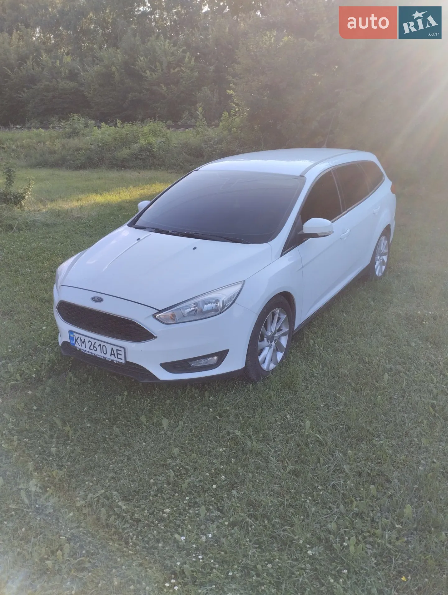 2014 Ford Focus - мініатюра 2