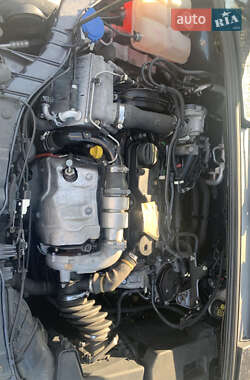 Хэтчбек Ford Focus 2013 в 