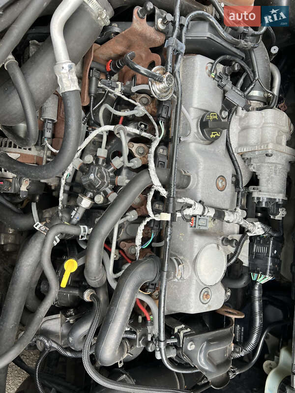 Хэтчбек Ford Focus 2009 в Ровно