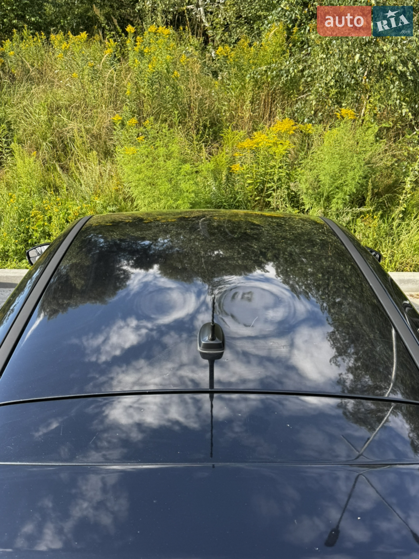 2014 Ford Focus - мініатюра 42