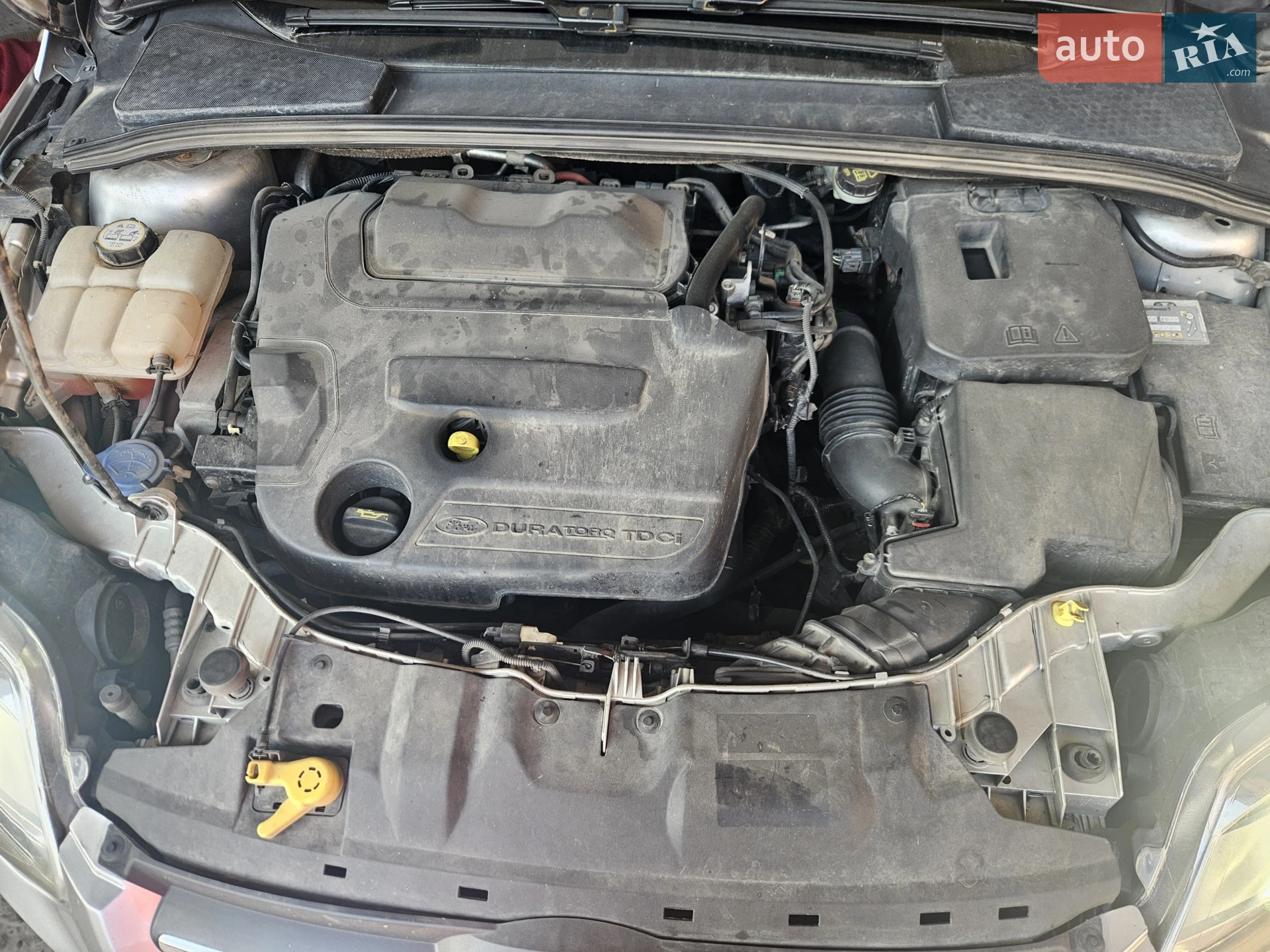 2014 Ford Focus - мініатюра 15