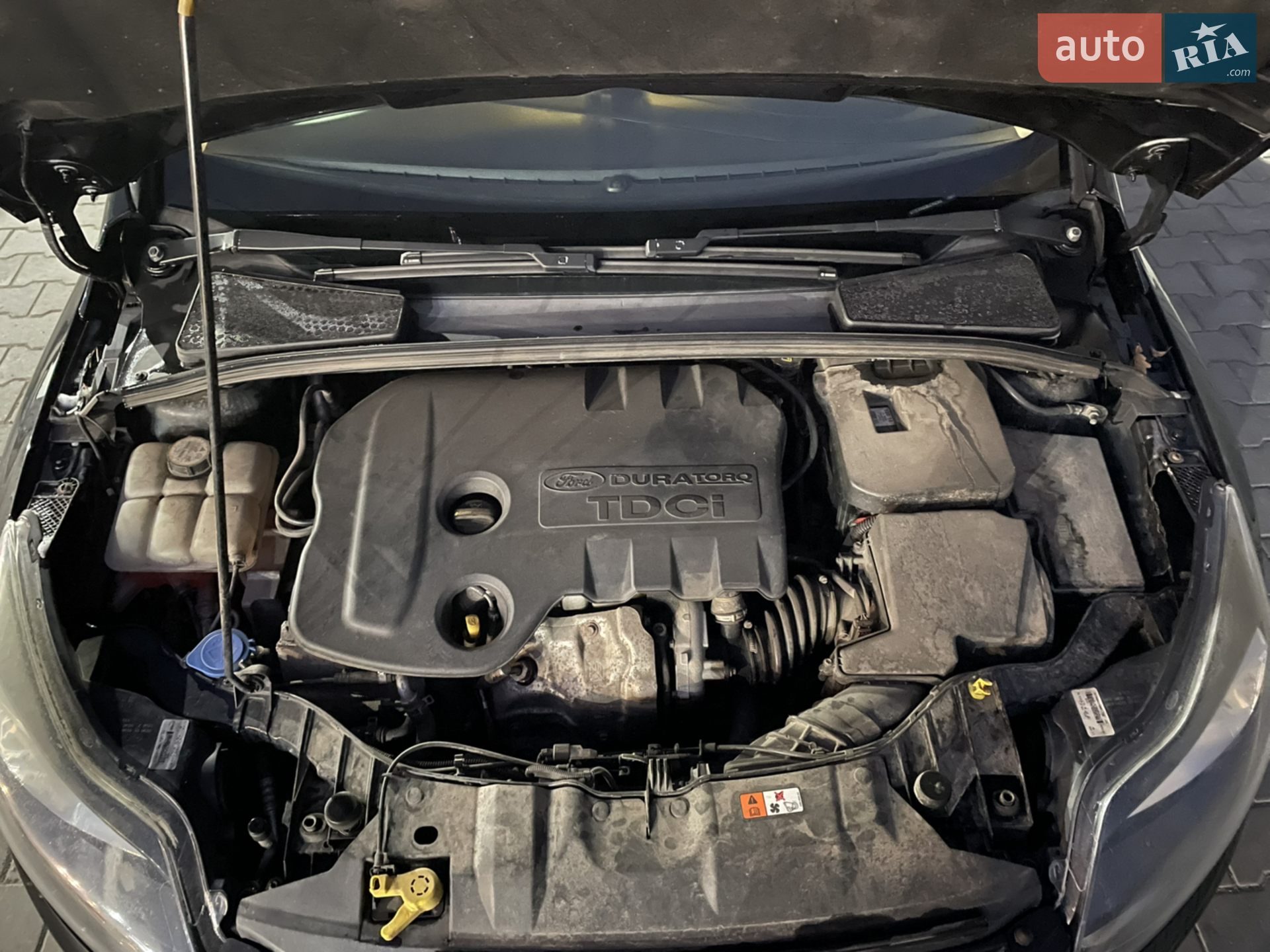 2012 Ford Focus - мініатюра 22