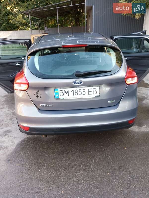 Хэтчбек Ford Focus 2016 в Конотопе фото 6 Хэтчбек Ford Focus 2016 в Конотопе