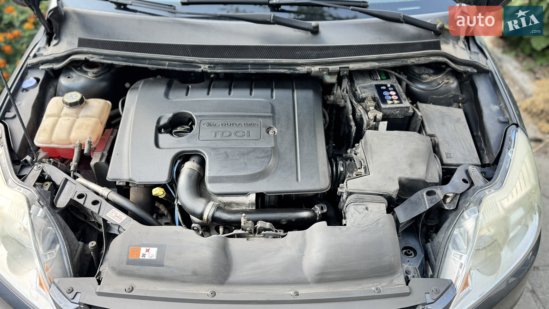 2010 Ford Focus - мініатюра 10