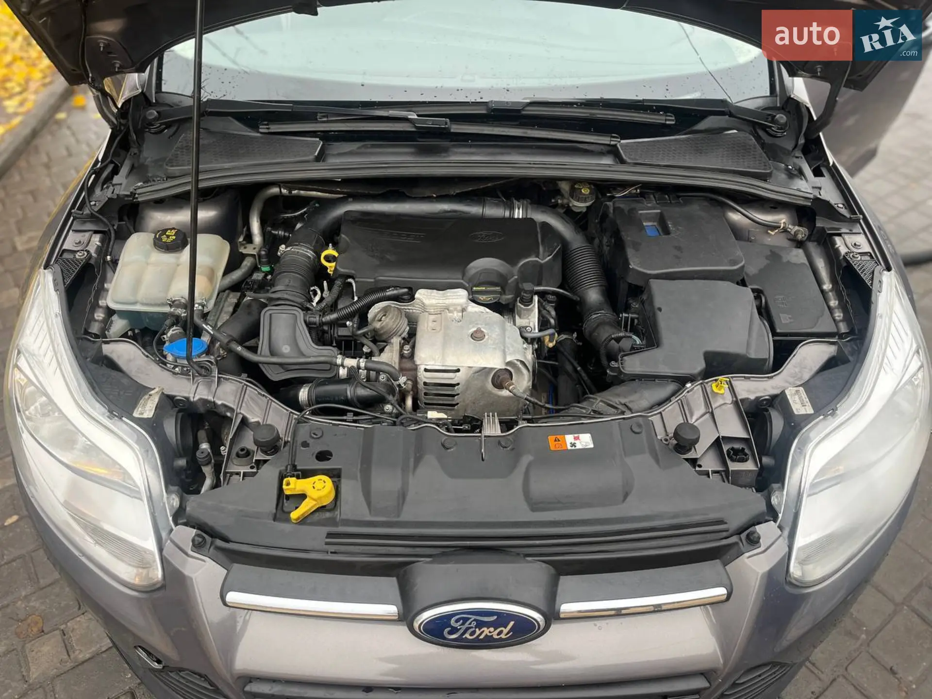 2013 Ford Focus - мініатюра 8