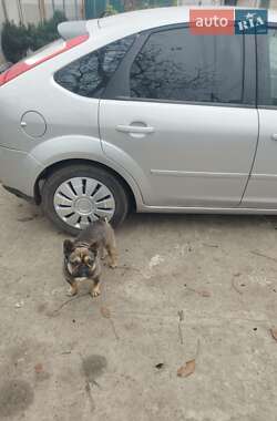 Хетчбек Ford Focus 2007 в Царичанці