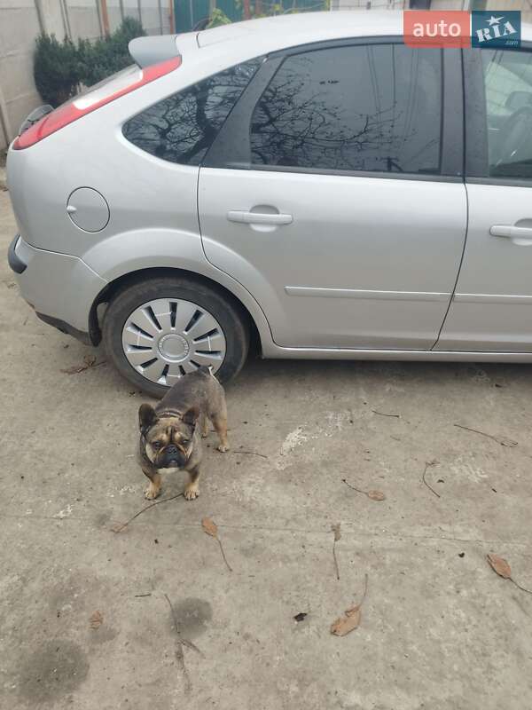 Хетчбек Ford Focus 2007 в Царичанці