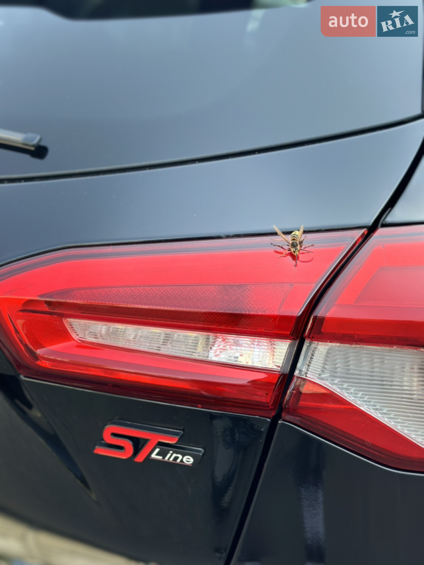 2020 Ford Focus - мініатюра 29