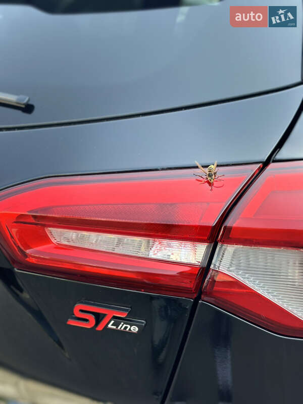 Хэтчбек Ford Focus 2020 в Киеве