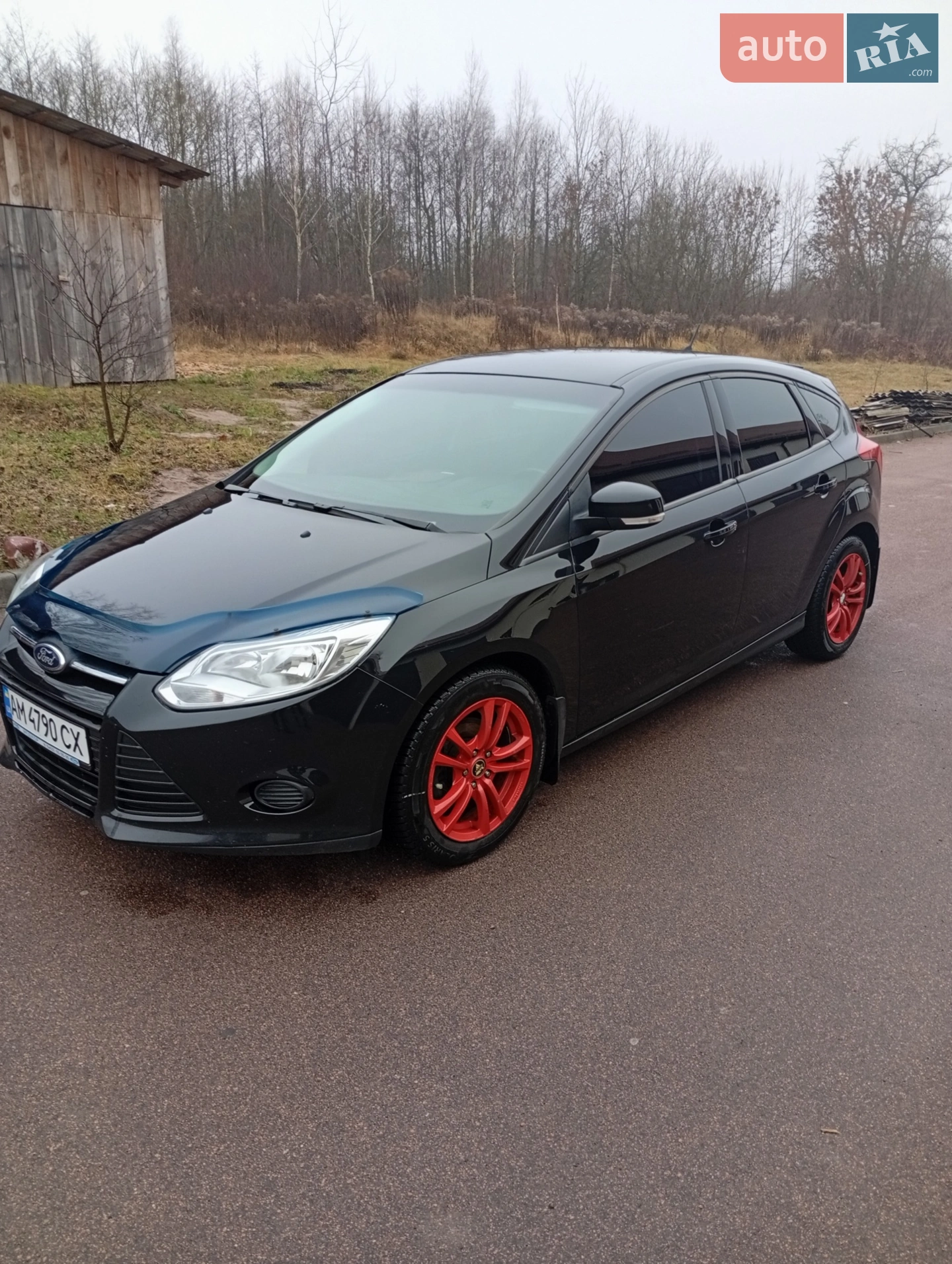 2013 Ford Focus - мініатюра 2
