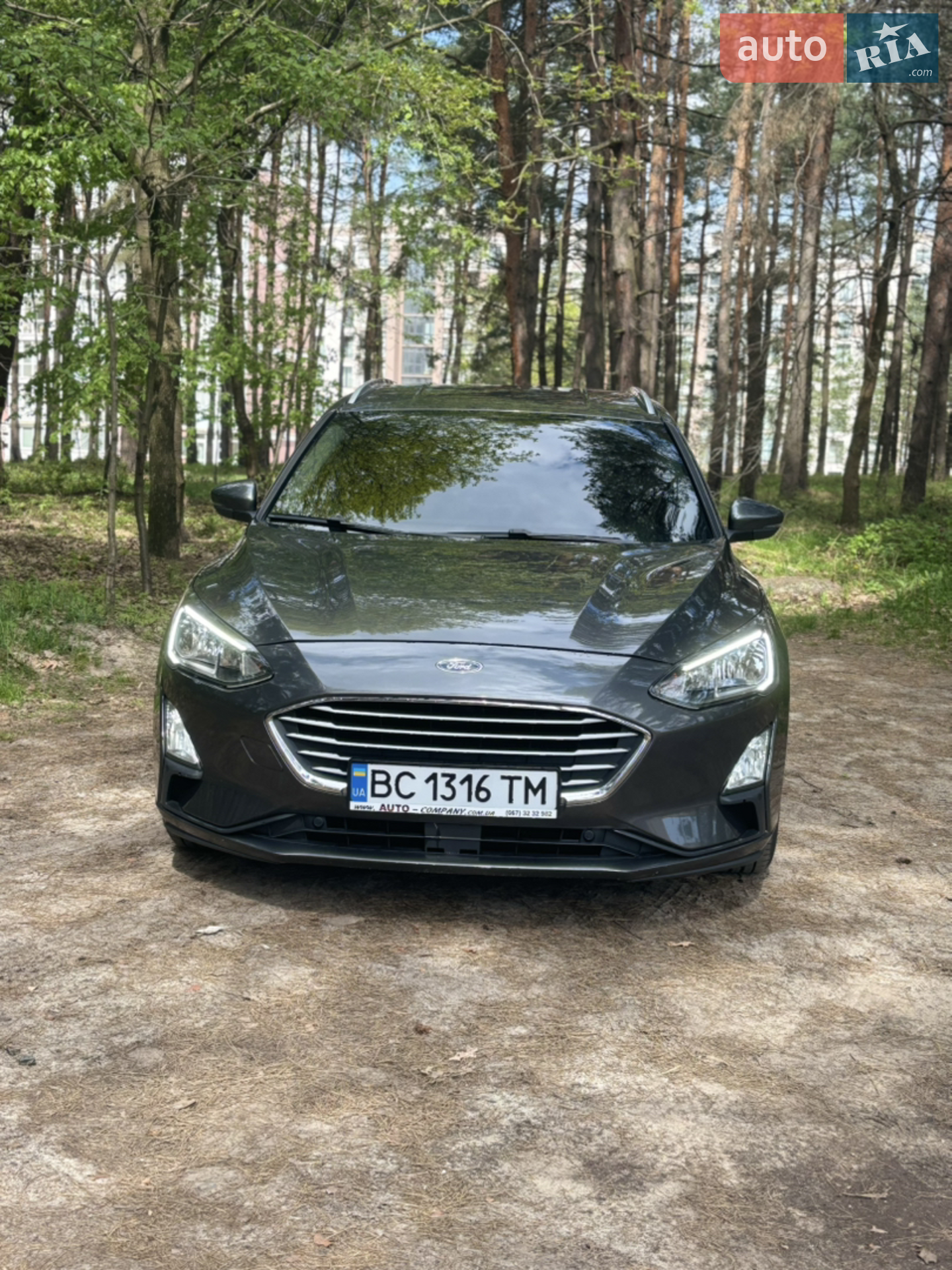 2019 Ford Focus - фото 1