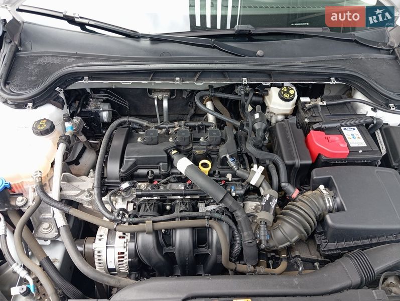 Хэтчбек Ford Focus 2020 в Киеве
