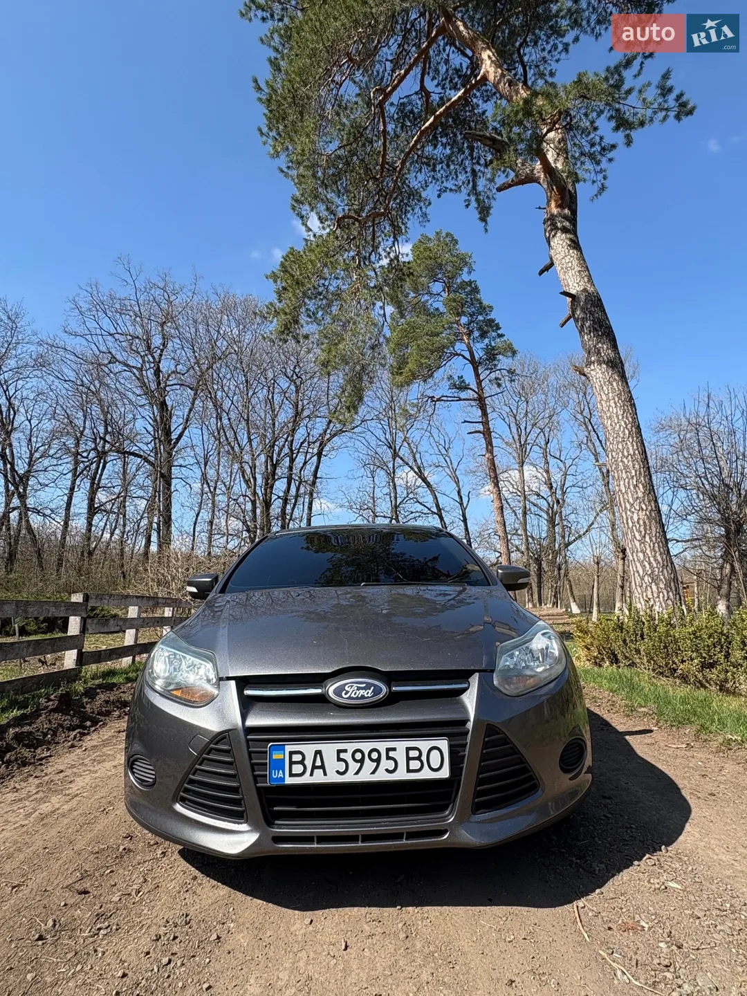 2013 Ford Focus - мініатюра 2