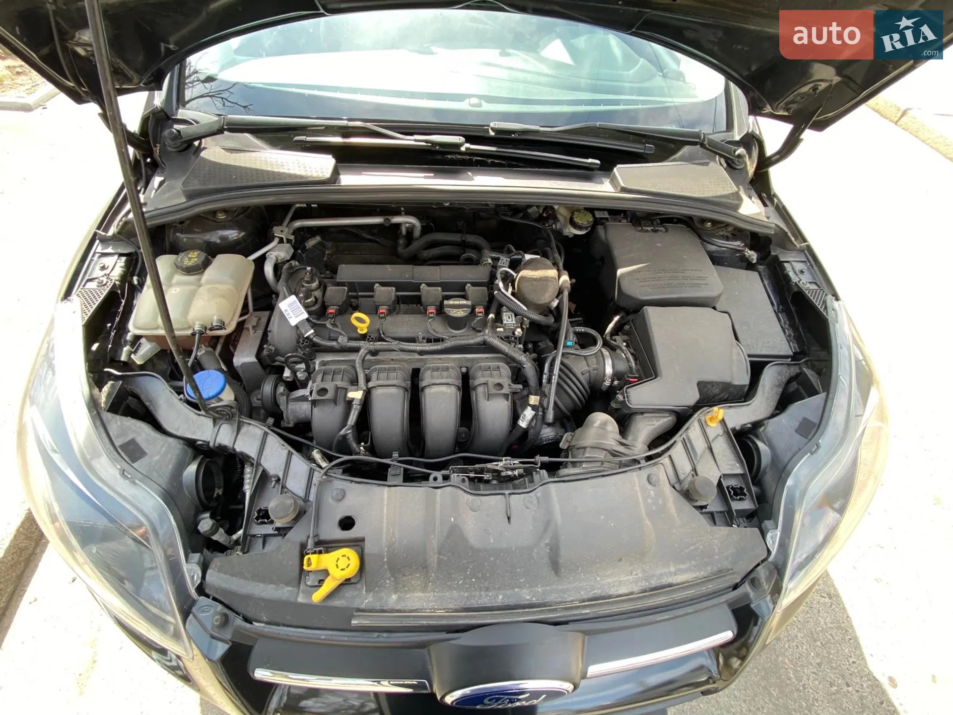 2013 Ford Focus - мініатюра 7